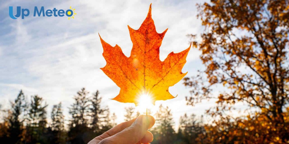 Il caldo anomalo si farà sentire anche in montagna e in particolare nell’Arco Alpino, dove lo zero termico si collocherà al di sopra dei 4000 metri.