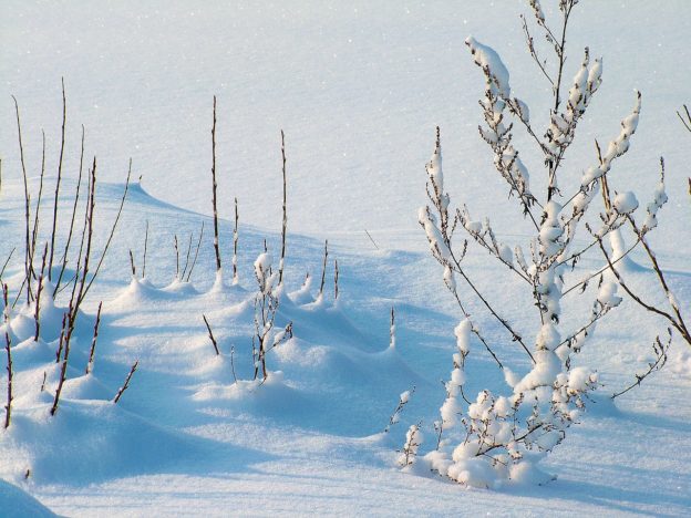 Meteo: Neve e freddo nel Solstizio d'inverno